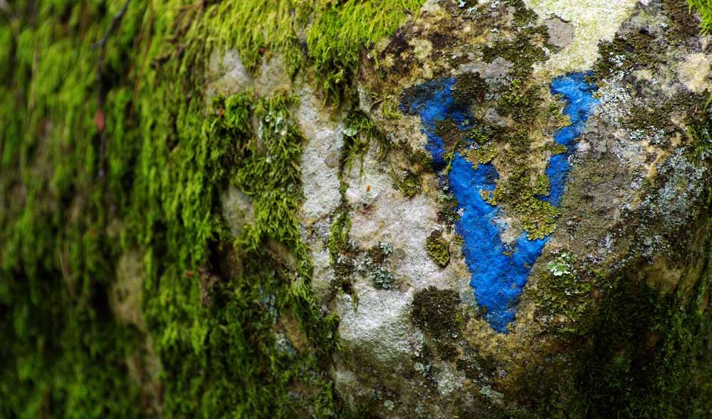 fontainbleu outdoor bouldering colours