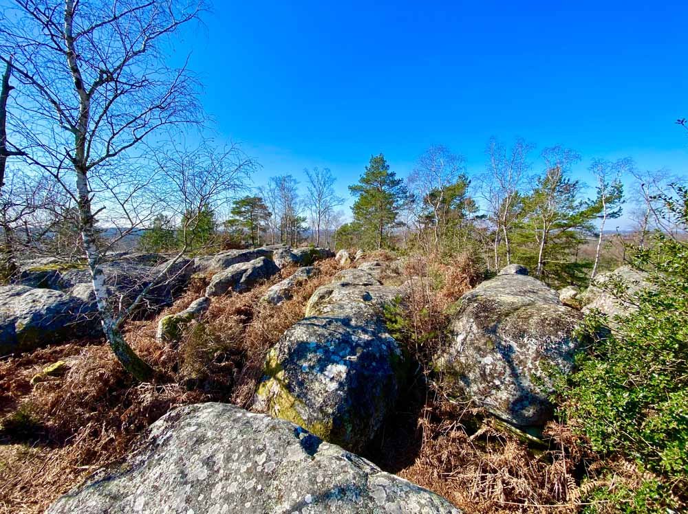 fontainebleu forest with outdoor bouldering